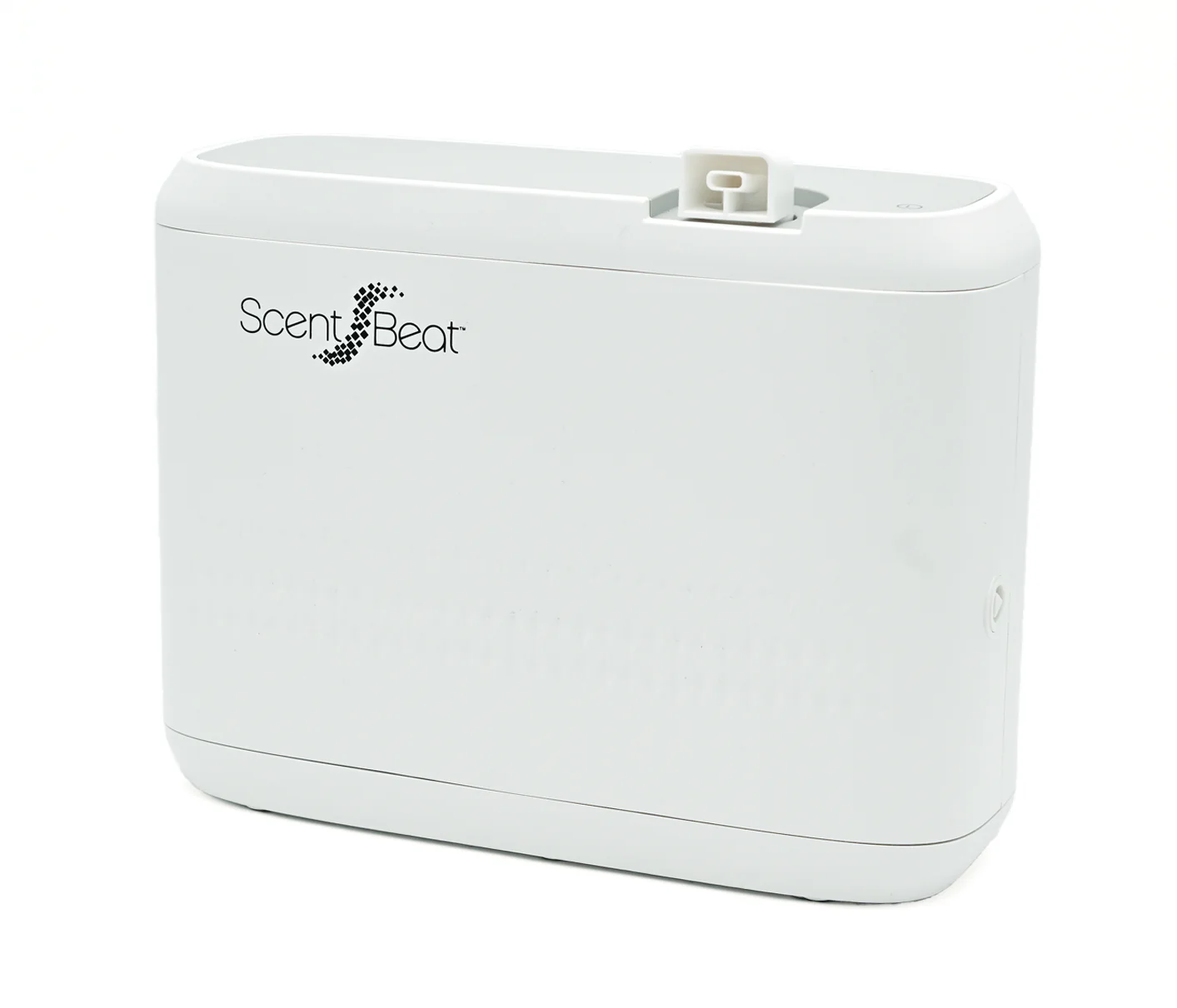 scentbeat bundle scentbeat bundle