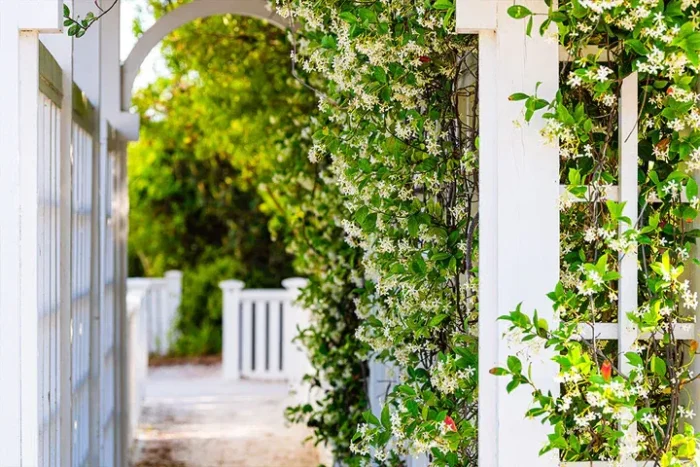 scent stick sample: mediterranean trellis and get a $2 credit on your next order