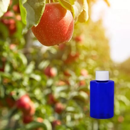 apple orchard