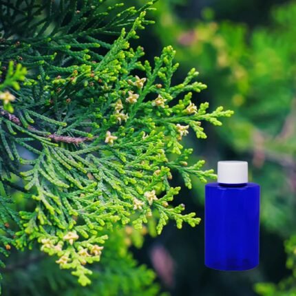 balsam & cedar