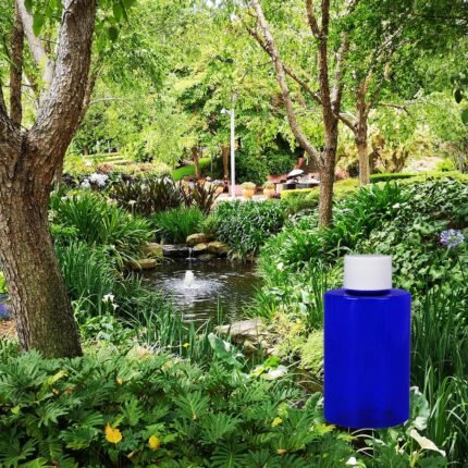 garden oasis