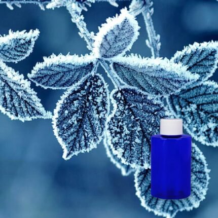 jack frost