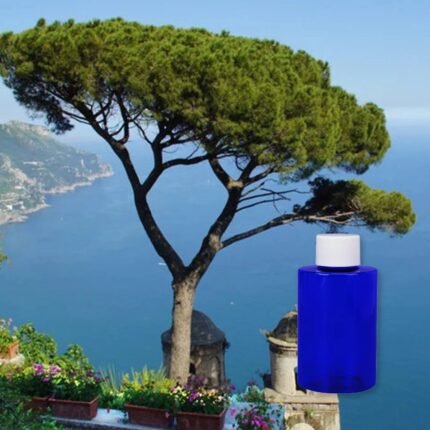 mediterranean breeze