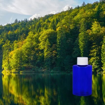 northern lake air