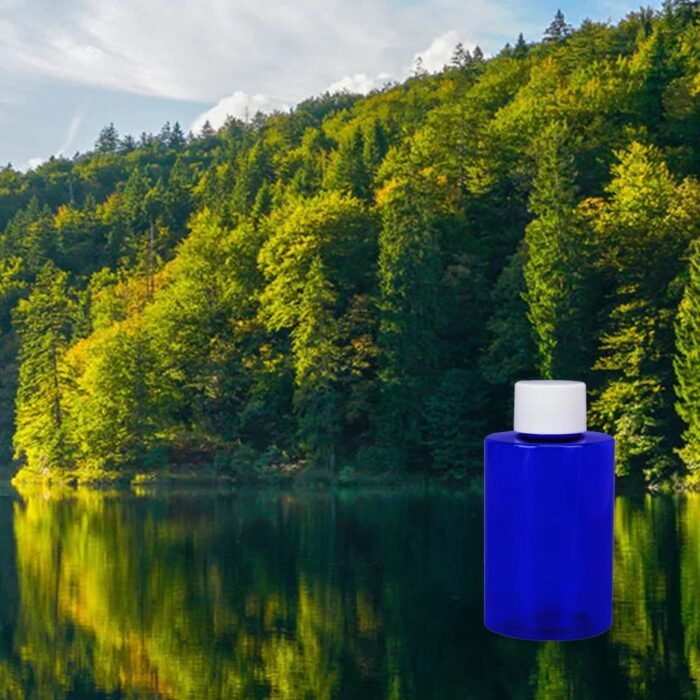 northern lake air