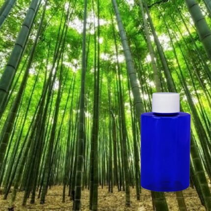 bamboo forest